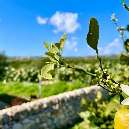 La Casa Di Gaia Villa Pozzallo